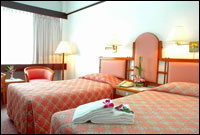 Standard Room Twin (Main Wing)