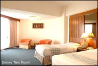 Deluxe Room Twin (Tower Wing)