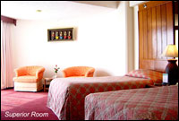 Superior Room Twin (Tower Wing)