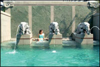 Majestic Grande Sukhumvit Hotel Bangkok - Swimming Pool