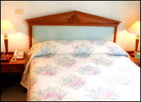 Centre Point Langsuan, Bangkok - Studio (Type A)