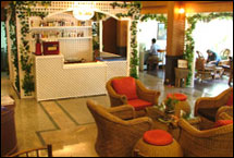 Wi Fi Hot Spot and Notebook service