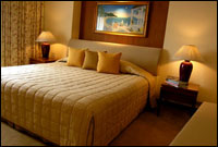 One-bedroom Suite - Bedroom