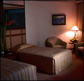 Superior Twin Bedroom