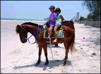 Baan Talay Dao Resort - Horse Riding