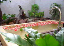 Baan Talay Dao Resort - Pavillion Suite - Bath Tub