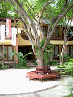 Baan Talay Dao Resort - Garden