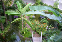 Novotel Tipviman Resort & Spa, Cha Am - Garden