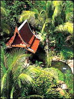 Hua Hin Marriott Resort & Spa - Garden