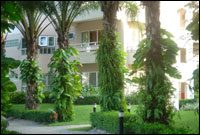 Springfield Beach Resort, Cha-Am