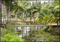 Suan Bankrut Beach Resort - Around Resort