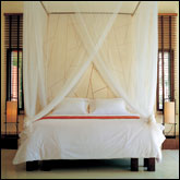 Veranda Resort & Spa, Cha Am - Pool Villas