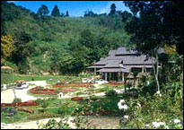 Angkhang Nature Resort, Chiang Mai - Scenery of Angkhang Nature Resort