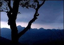 Magnificent views over the hills in Angkhang