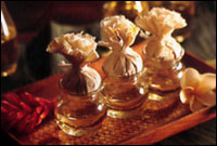 The Four Elements Health & Healing 