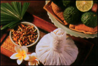 The Four Elements Health & Healing 