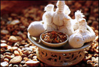 The Four Elements Health & Healing 