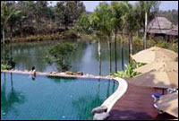 Jirung Health Resort Chiang Mai - Swimming Pool