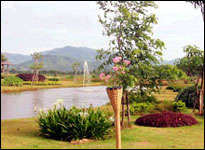 Best Western Golden Pine Resort Chiang Rai - Garden