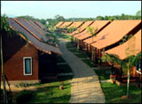 Best Western Golden Pine Resort Chiang Rai - The Cottage