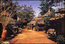 View - Phu Chaisai Mountain Resort & Spa, Chiang Rai