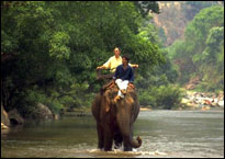 The Legend Chiang Rai - Elephant Trekking