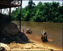 Near an Elephant Camp