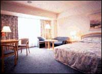 Holiday Inn Tobu Narita - Accommodation