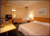 Ana Hotel Osaka - Double Type - Moderate