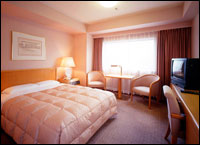 Ana Hotel Osaka - Double Type - Superior