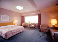 Ana Hotel Osaka - Double Type - Corner