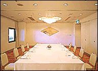 Tokushima Tokyu Inn Hotel - Meeting