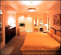 Dai-Ichi Hotel Tokyo - Accommodation