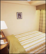 Ginza Nikko Hotel Tokyo - Single Room