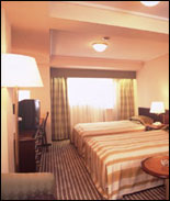 Ginza Nikko Hotel Tokyo - Twin Room