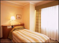 Ginza Nikko Hotel Tokyo - Single Room