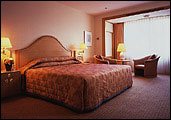 Imperial Hotel Tokyo - Moderate Room