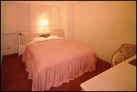 Shinjuku Listel Hotel, Tokyo - Annex Double Room