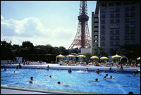 Swimming Pool (Front Garden)
