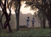 Azure Comsaed Resort & Spa - Joking