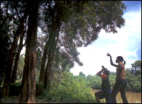 Azure Comsaed Resort & Spa - Activities