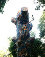 Pung-Waan Resort Kwai Noi, Kanchanaburi - Climbing