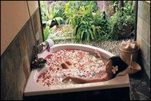 Spa - Pung-Waan Resort & Spa Kwai Yai, Kanchanaburi