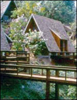 Standard Room - 2 Bed Rooms for 8 persons