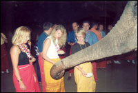 The River Kwai Jungle Rafts, Kanchanaburi - Party