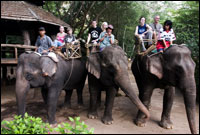 The River Kwai Jungle Rafts, Kanchanaburi - Elephant Riding