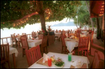Beachcomber Hotel, Koh Samui - Hotel restaurant right on the beach