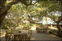 Chaweng Buri Resort, Samui - Graden