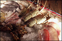 Chaweng Buri Resort, Samui - Seafood