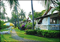 Samui Palm Beach Resort, Koh Samui - Beach Front